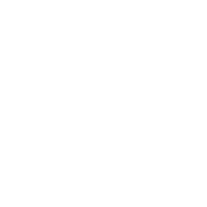 Cattle Show