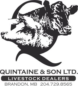 Quintaines & Sons LTD.