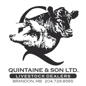 Quintaine & Son Logo